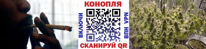 Каннабис сатива  Жуковка 